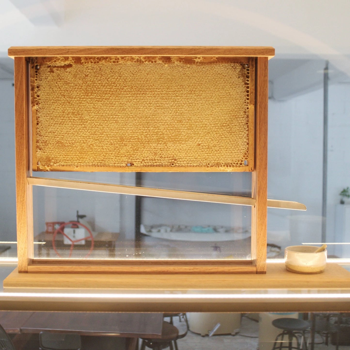 Honeycomb Display Case - Tasmanian Oak