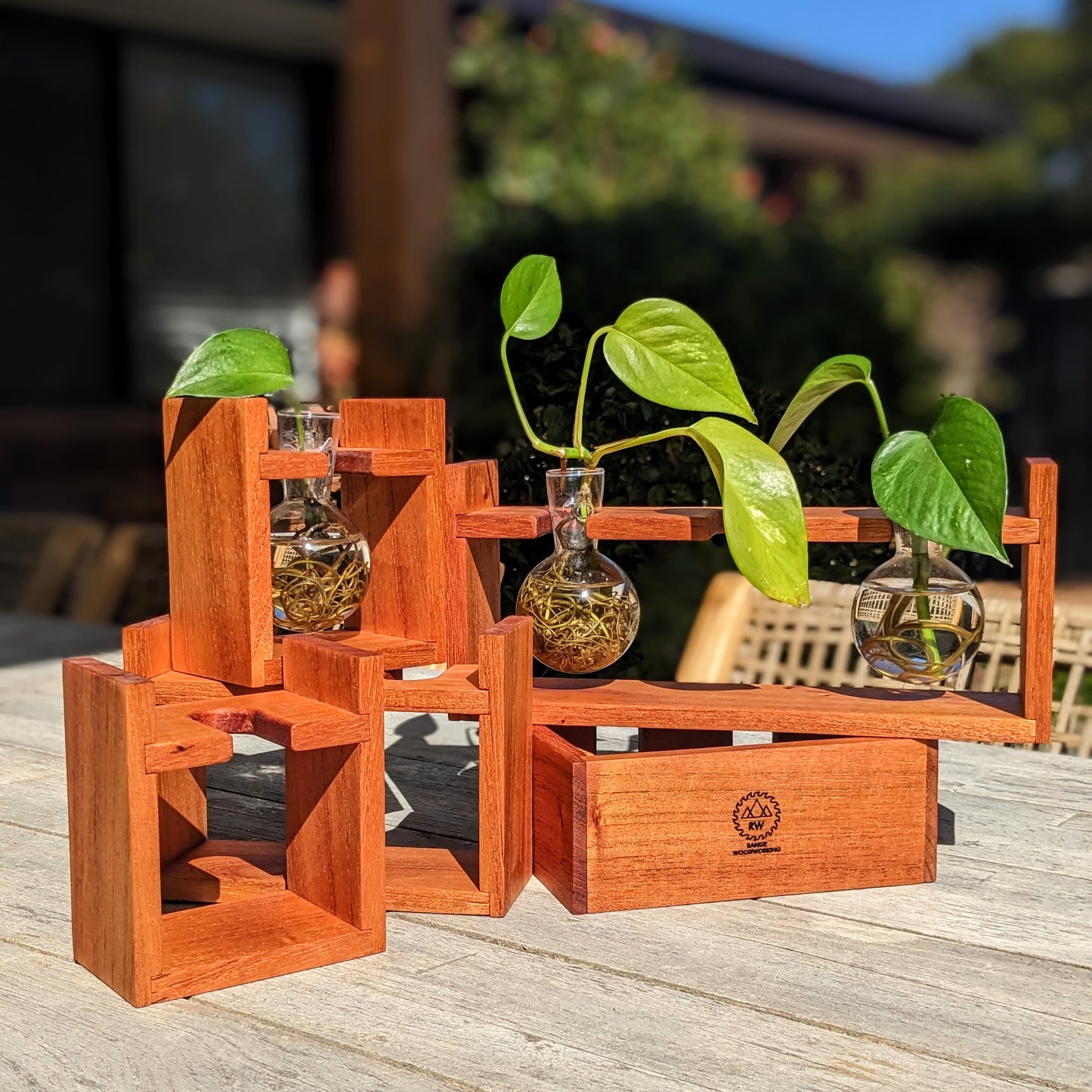 Red Cedar Original Plant Propagation Station With Glass Bulb Vases