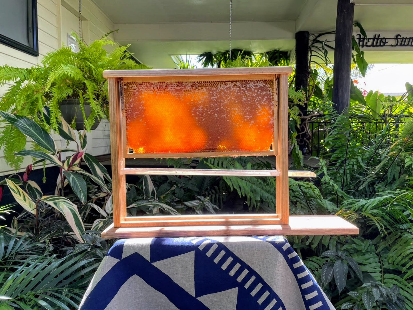 Honeycomb Display Case - Tasmanian Oak