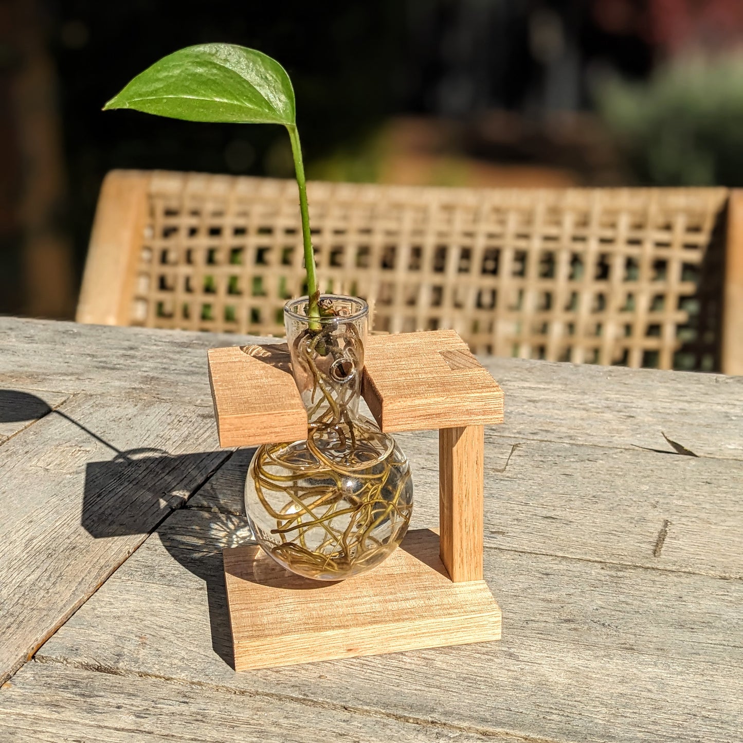 Tasmanian Oak Slim Sided Propagation Station With Glass Bulb Vases